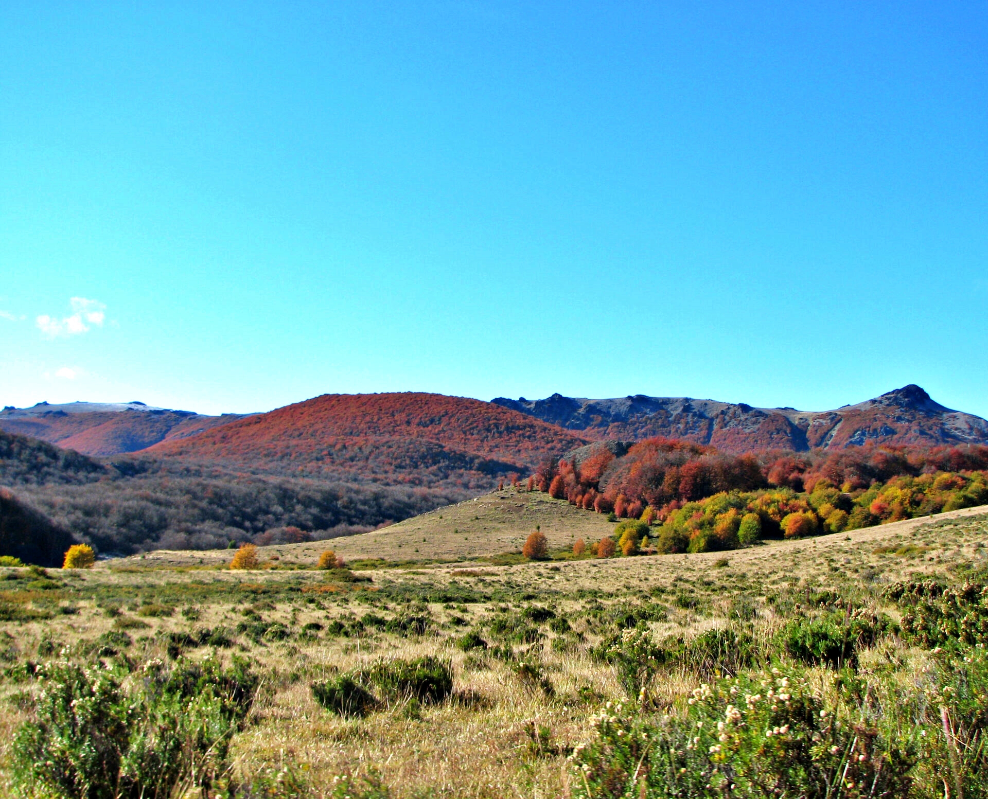 Reserva Nacional Trapananda