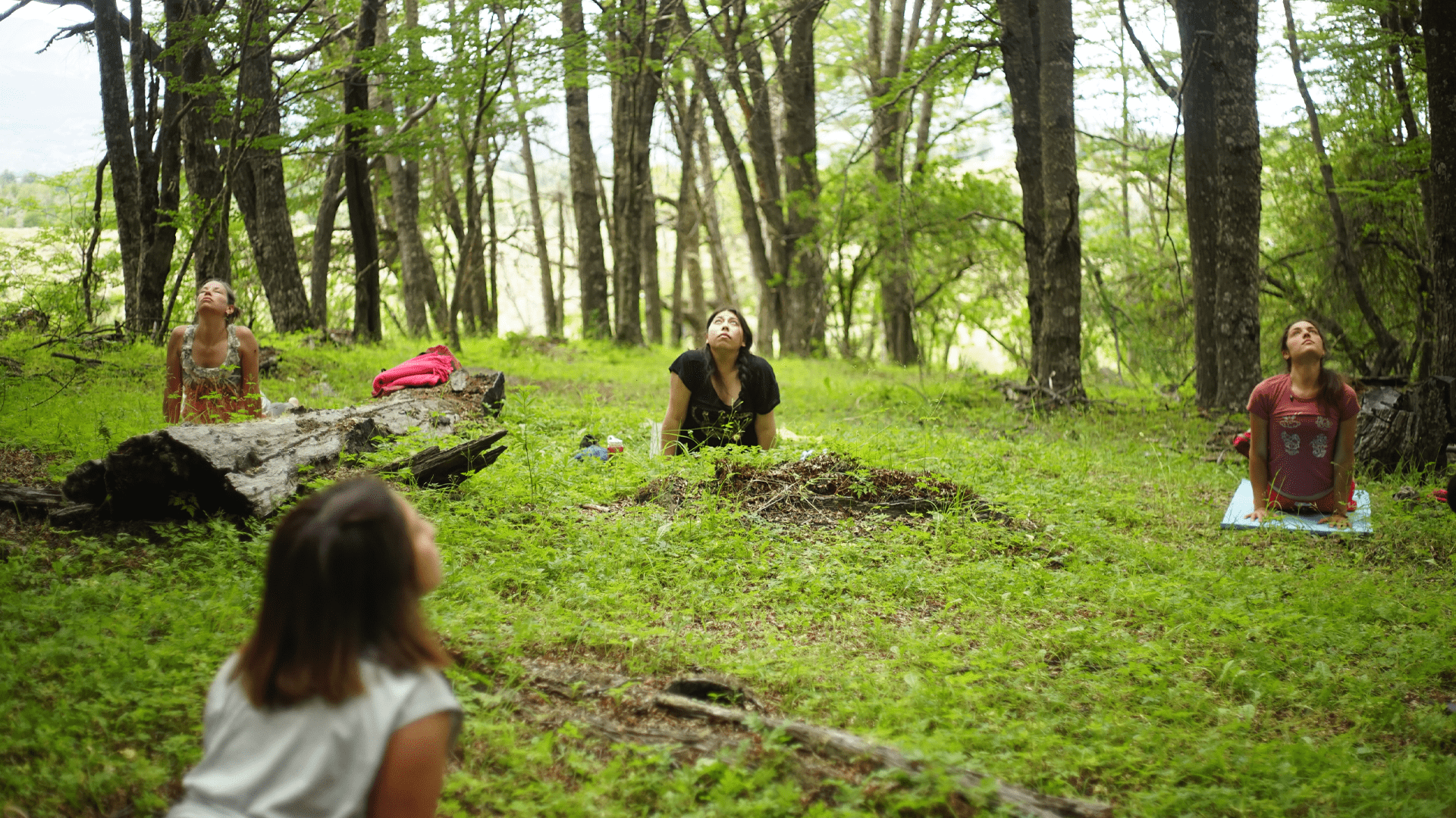 Yoga en la Naturaleza